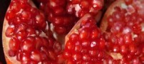 3 ماده خوراکی محرک قوای جنسی خانم ها و آقایان