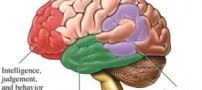 داشتن قلبی سالم بهترین كلید مقابله با آلزایمر