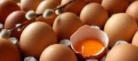 تخم مرغ در خدمت بیماری یا سلامت؟!!