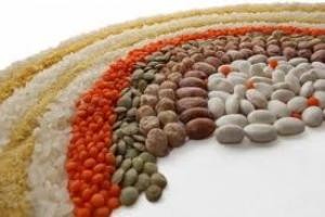 ماده غذایی بسیار مفید برای بیماران دیابتی