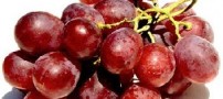 تشدید التهاب گلو با مصرف خربزه و انگور