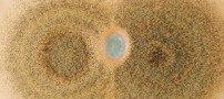 خوردن ماست کپک زده ممنوع