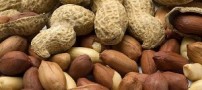 افزایش شیر مادر با مصرف این خوراکی ها