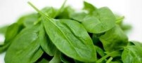 خوردن این سبزی زمستانی را فراموش نکنید