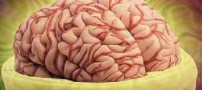 تفاوت مغز افرادی که خودکشی میکنند با افراد عادی