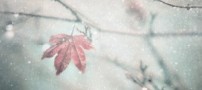 مشکلات روحی که در زمستان با آن مواجه می شویم
