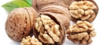 از این خوراکی های چرب غافل نشوید