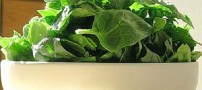 تقویت سلامت جسمی با این مواد غذایی