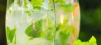 طرز تهیه چند شریت گیاهی مخصوص تابستان