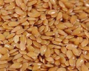 همه چیز راجع به تخمه کتان