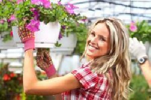چگونگی تمیز کردن گیاهان آپارتمانی