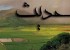 احادیث بسیار آموزنده و دلنشین از امامان