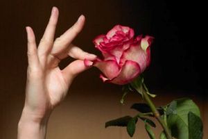 چگونه گل های طبیعی را خشک کنیم؟