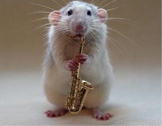 عکسهای خیلی ناز از موش های نوازنده