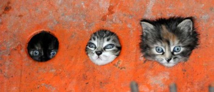  عکسهای چهارشنبه : 15 اردیبهشت 1389