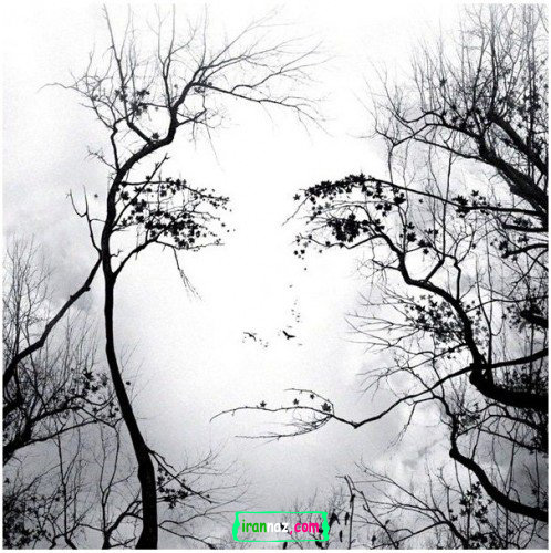 یکی از بینظیرترین و پر بیننده ترین عکسهای تاریخ!