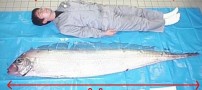 عکسهای روز چهار شنبه : 19 اسفند 1388
