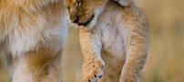عکسهای دیدنی یکشنبه : 2 خرداد 1389