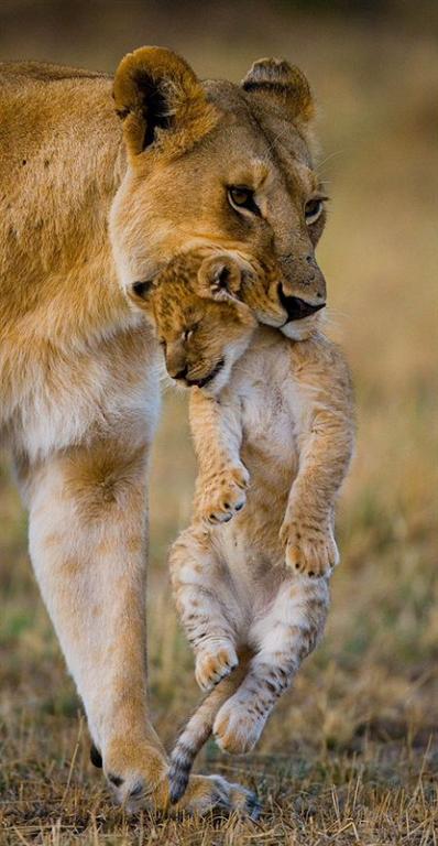عکسهای دیدنی یکشنبه : 2 خرداد 1389