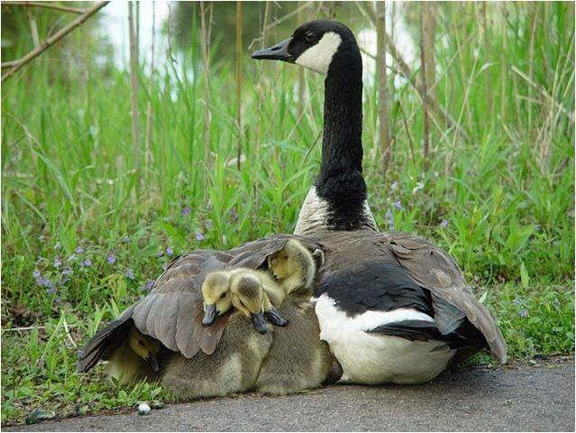 عکسهای دیدنی جمعه : 24 اردیبهشت 1389