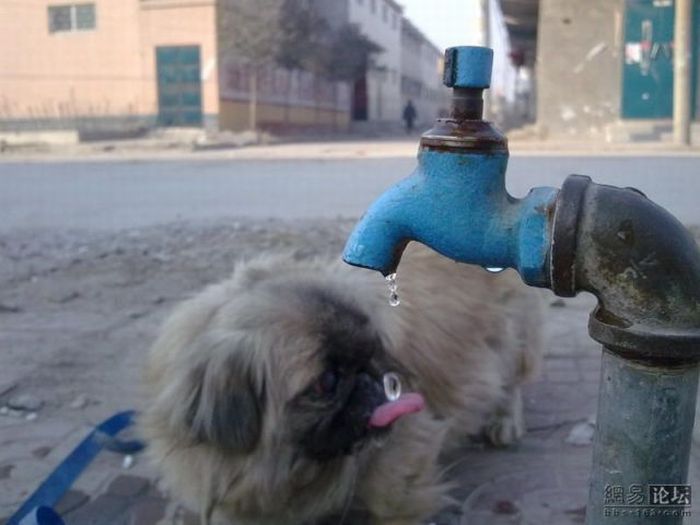 عکسهای دیدنی روز جمعه : 25 دی 1388