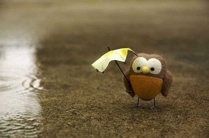 عکسهای دیدنی روز جمعه : 25 دی 1388