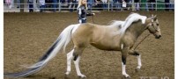 عکسهای دیدنی دوشنبه : 3 خرداد 1389
