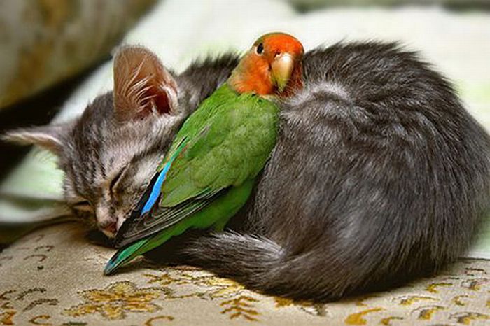 دیدنی های روز پنجشنبه : 6 اسفند 1388