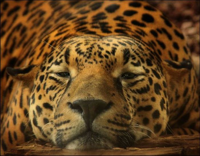 عکسهای روز چهارشنبه : 8 اردیبهشت 1389