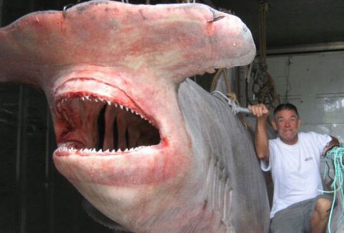 عکسهای روز چهارشنبه : 8 اردیبهشت 1389