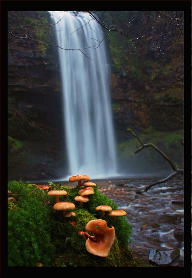 عکسهایی از آبشارهای بسیار زیبا و دیدنی