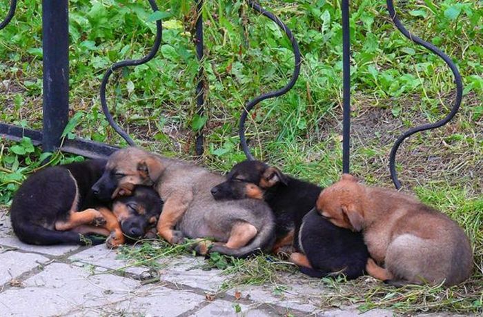 عکسهای دیدنی روز پنج شنبه : 17 دی 1388