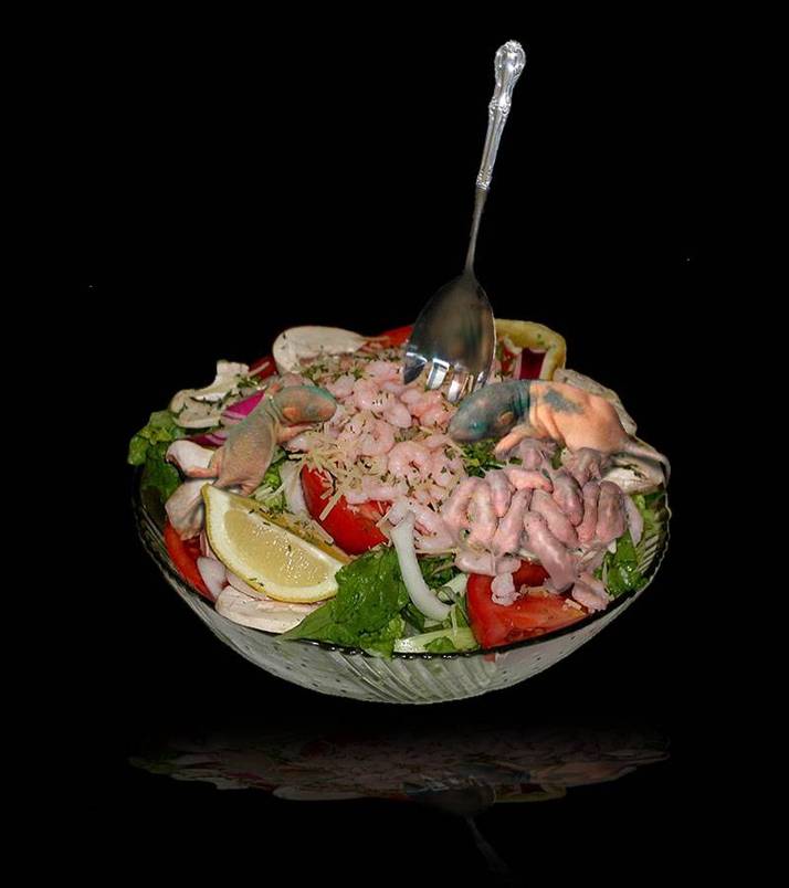 عکس چند نوع غذای چینی چندش آور !!
