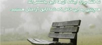 عکسهایی با پیامهای بسیار آموزنده