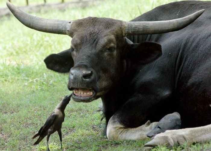 عکسهای دیدنی پنجشنبه : 21 مرداد 1389