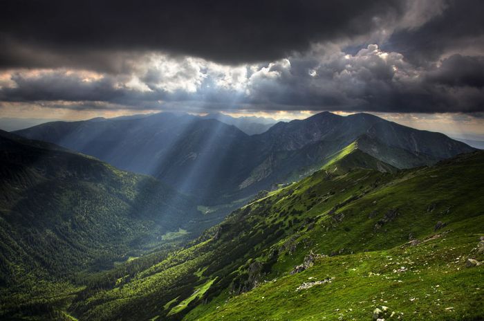 عکس هایی از هنر نمایی خداوند در طراحی طبیعت