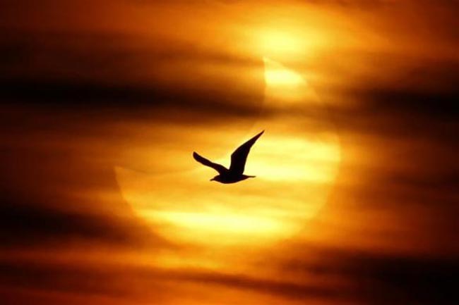 عکسهای جالب و دیدنی سه شنبه : 21 دی 1389