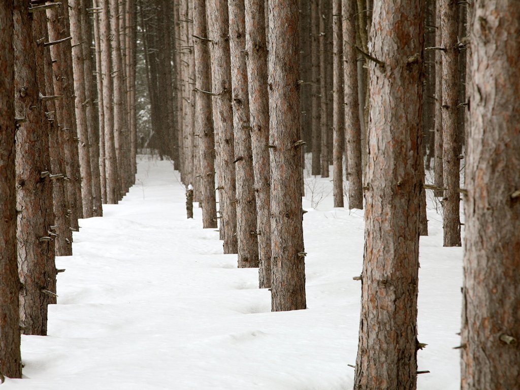والپیپرهای بسیار زیبای فصل زمستان