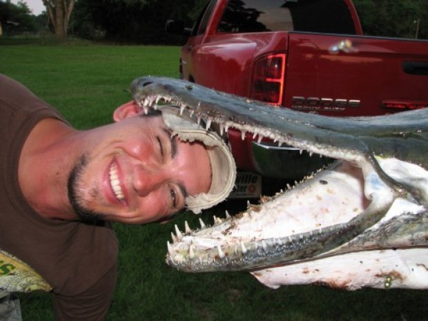 عکسهایی بسیار عجیب از تمساح ماهی