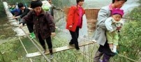 اگر از زندگی خیلی نا امیدی این عکسها را ببین !!