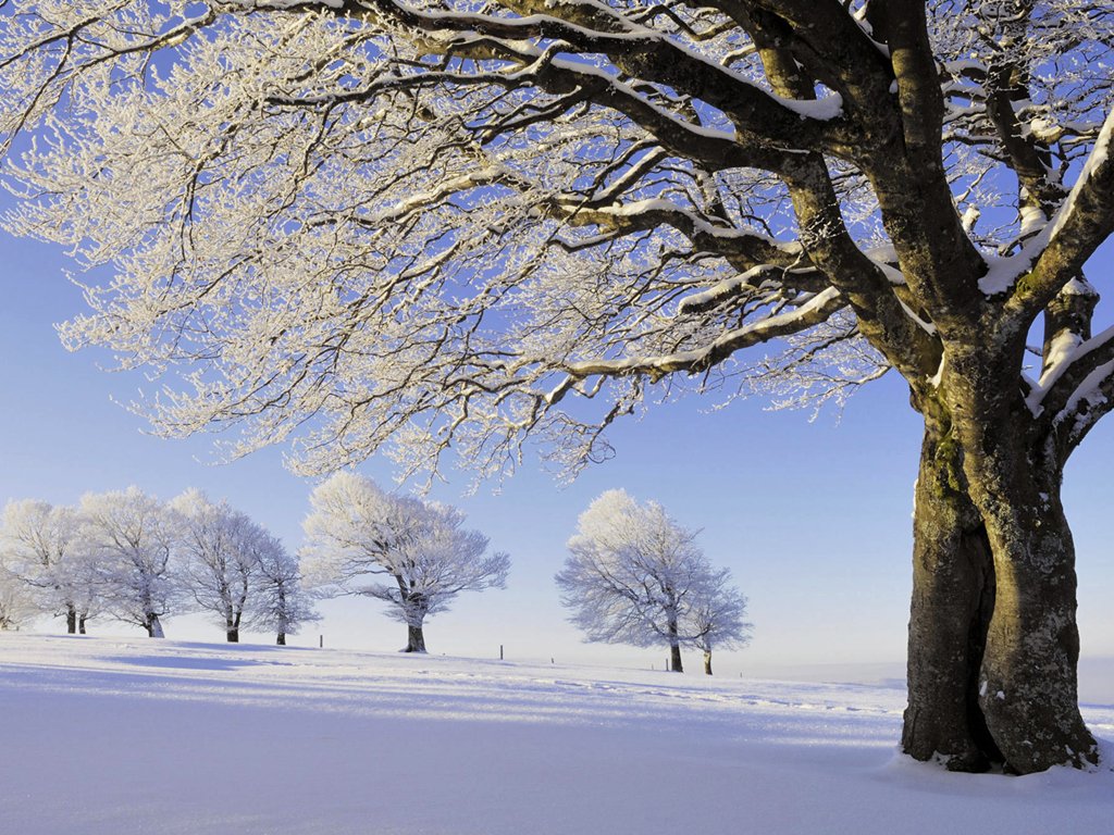 والپیپرهای بسیار زیبای فصل زمستان
