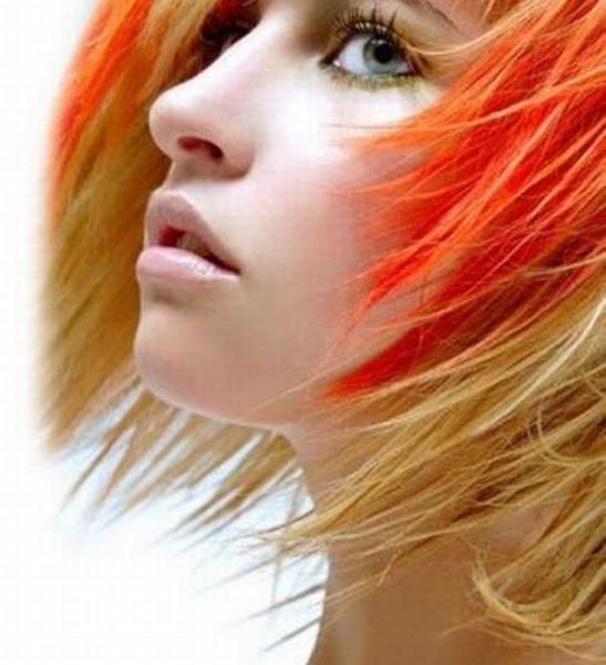 عکسهای جالب و دیدنی سه شنبه : 19 بهمن 1389