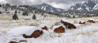 والپیپرهای بسیار زیبای فصل زمستان