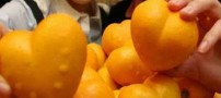 عکسهای جالب و دیدنی سه شنبه : 5 بهمن 1389