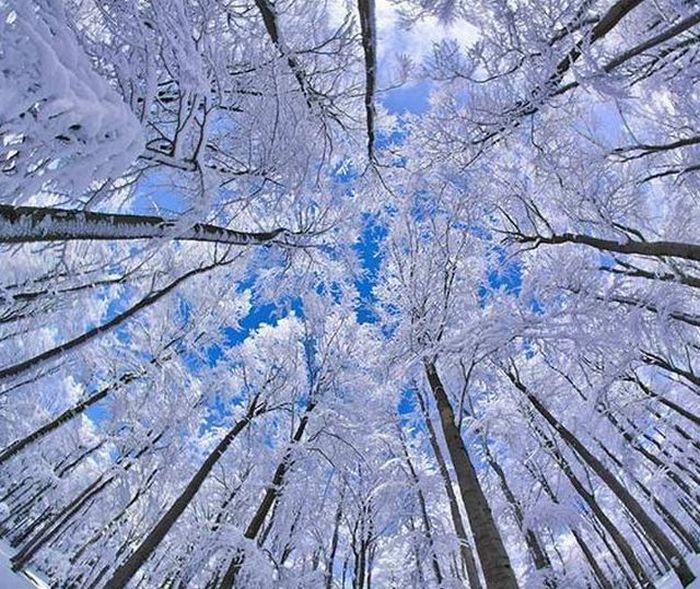 عکسهای جالب و دیدنی شنبه : 2 بهمن 1389