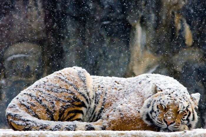 عکسهای جالب و دیدنی چهارشنبه : 4 اسفند 1389