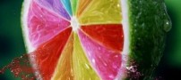 عکسهای جالب و دیدنی سه شنبه : 10 اسفند 1389