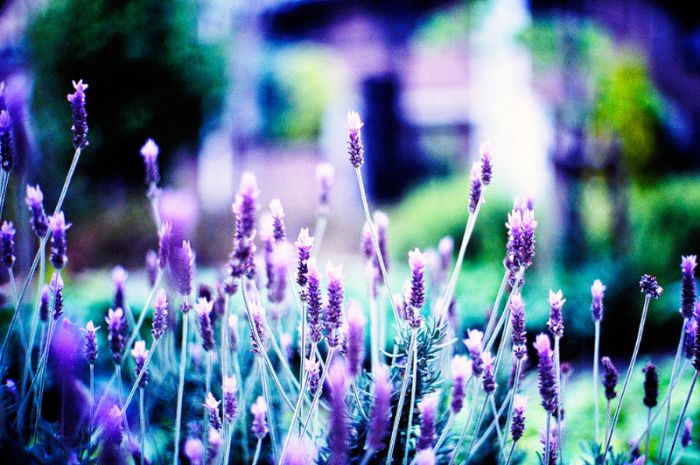 عکسهای جالب و دیدنی پنجشنبه : 5 اسفند 1389