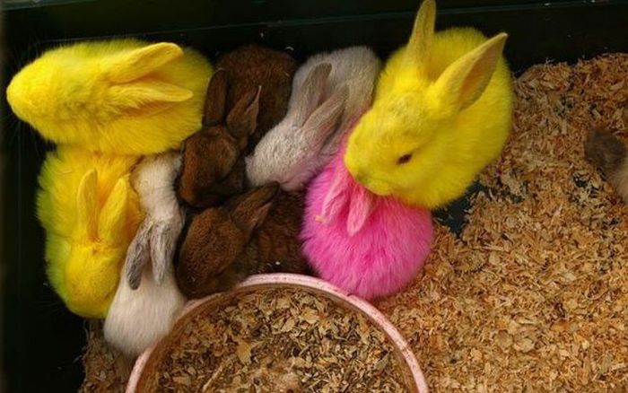 عکسهای جالب و دیدنی پنجشنبه : 5 اسفند 1389