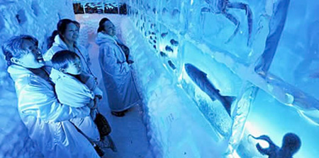عکسهای آکواریوم بسیار عجیب یخی در ژاپن